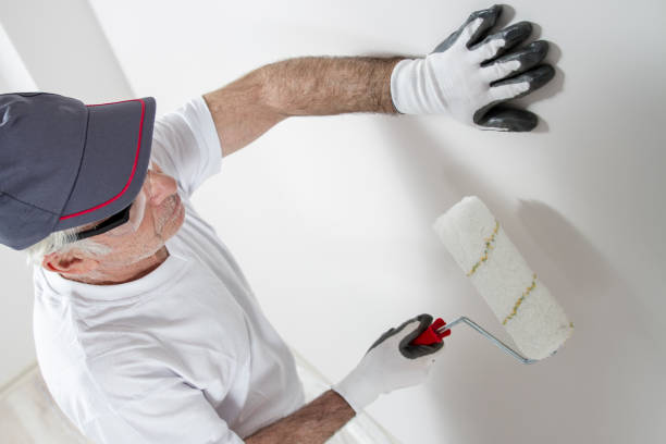 Best Drywall Removal and Disposal  in Eulyptus Hills, CA