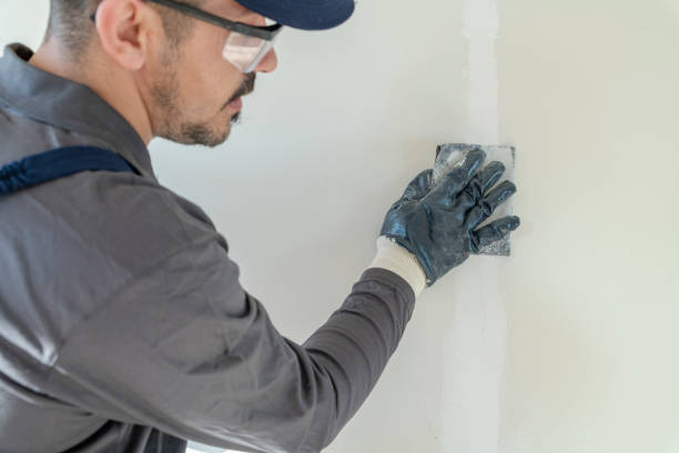 Best Fire-Damaged Drywall Repair  in Eulyptus Hills, CA