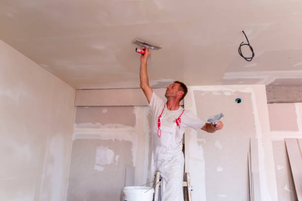 Best Acoustic or Soundproof Drywall Installation  in Eulyptus Hills, CA